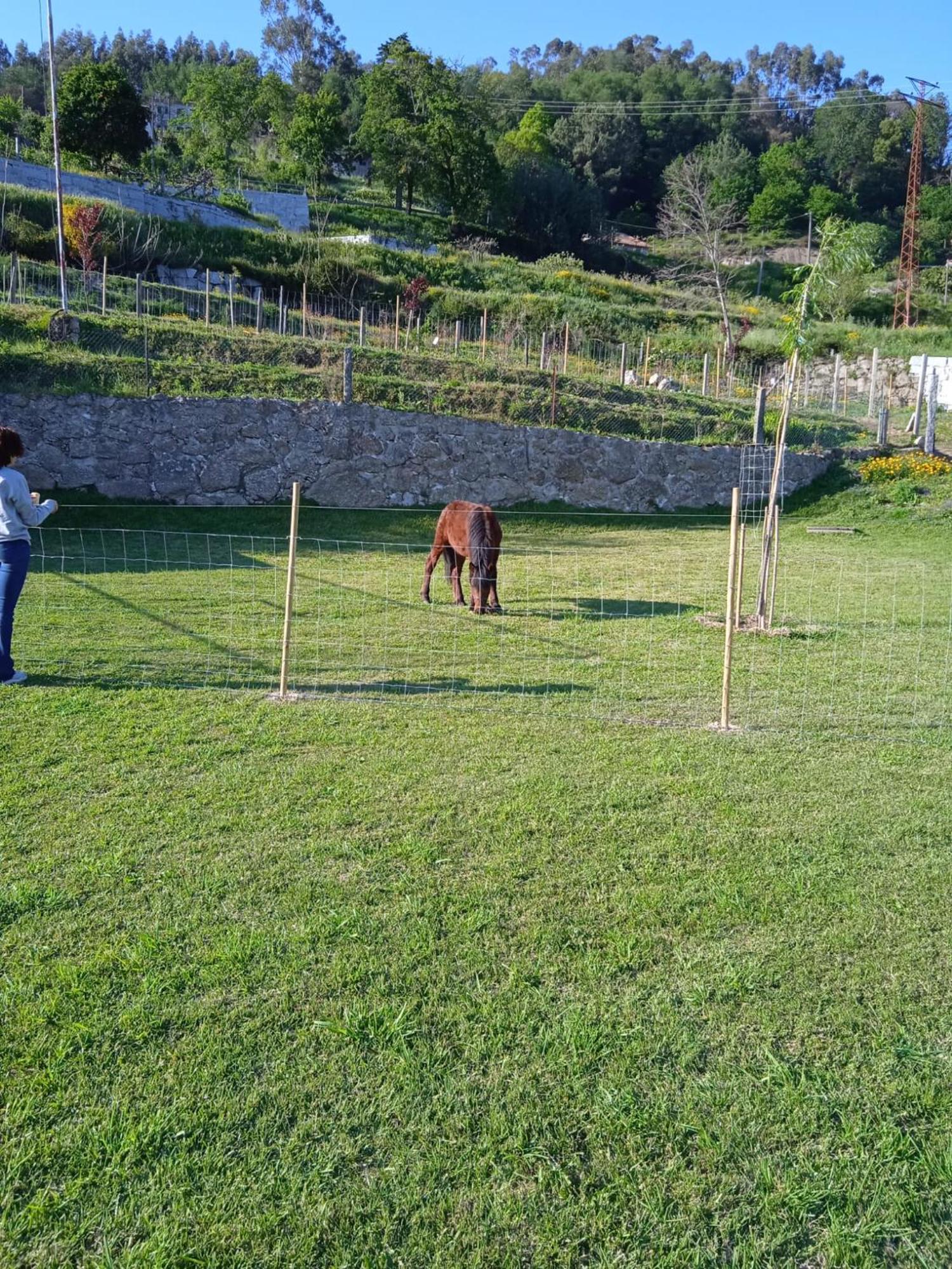 Willa Quinta Dos Campos - Chale Braga Zewnętrze zdjęcie